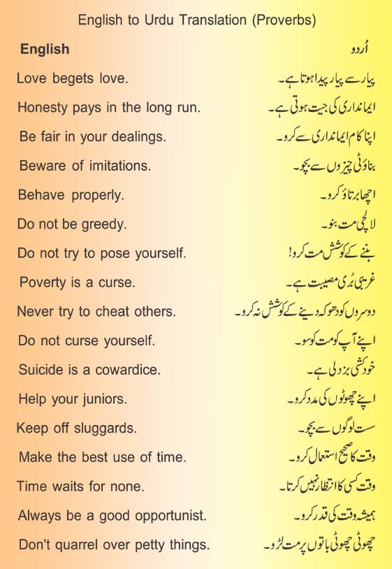 Urdu vocabulary for essay writing